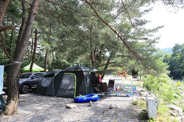황토와통나무 캠핑장 사진