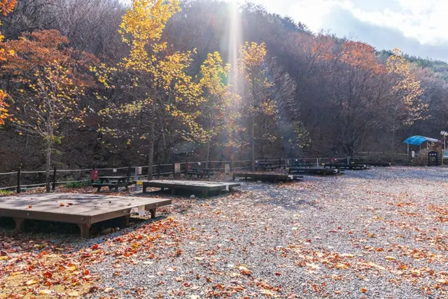 국립 황정산자연휴양림 사진