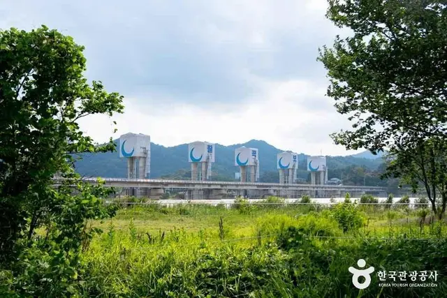 칠곡보 생태공원 사진
