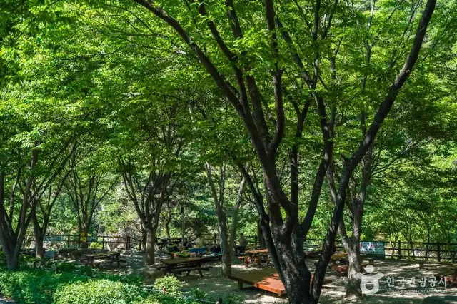 화원자연휴양림 유아숲체험원 사진