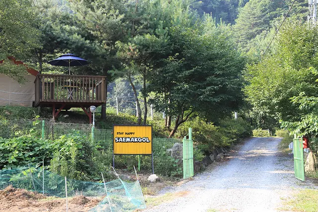 새막골캠핑장 사진