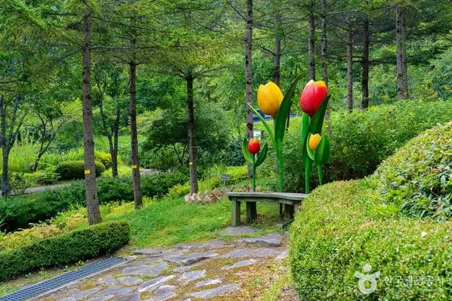 백두대간 생태수목원 사진