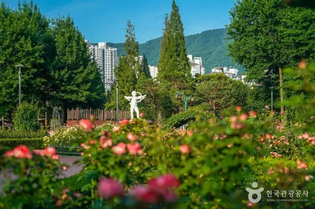 장미공원 사진