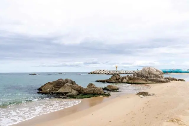 영진해변 사진