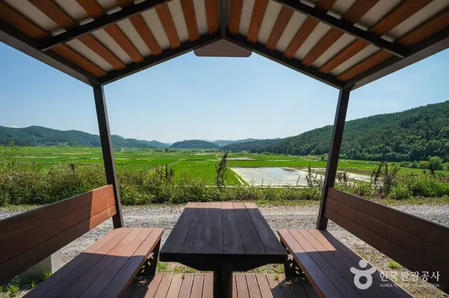 우포출렁다리 사진