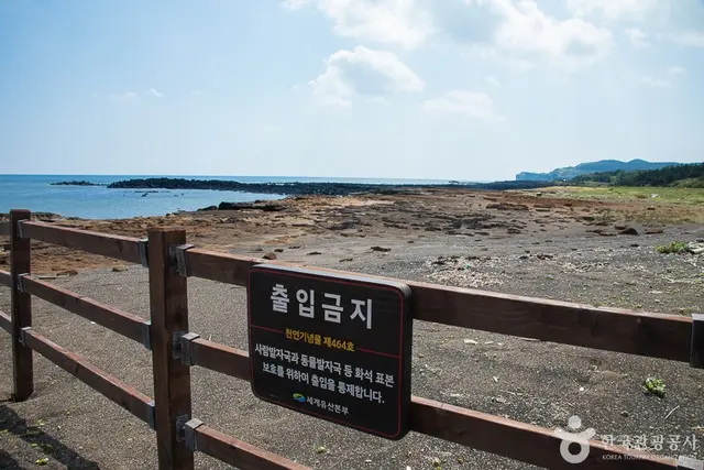 발자국화석공원 사진
