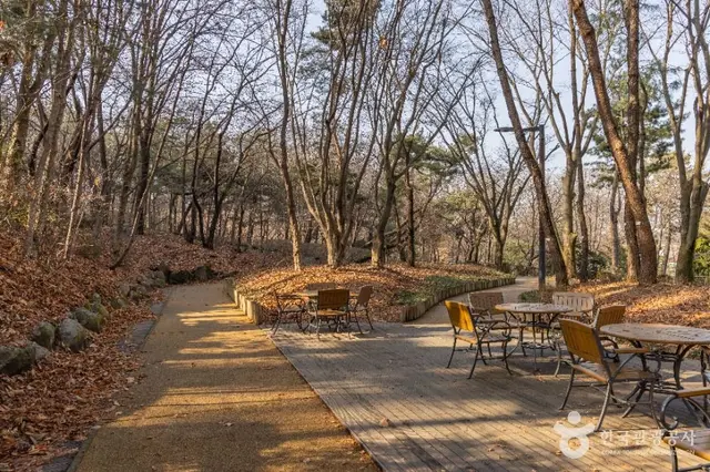 대모산도시자연공원 사진