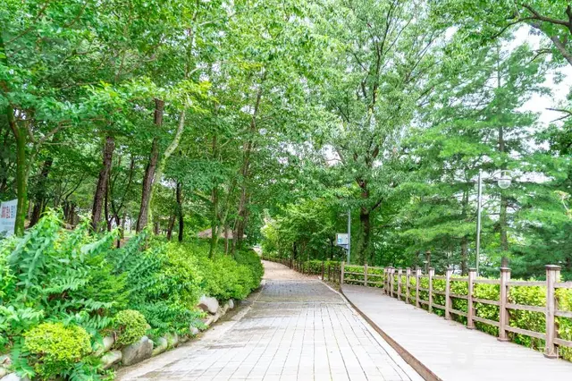 테미공원 사진