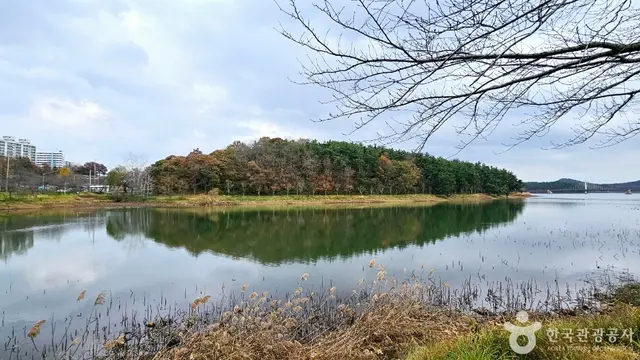 은파호수공원 사진
