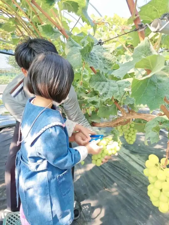 온달과평강농원 사진