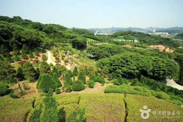베어트리파크 사진