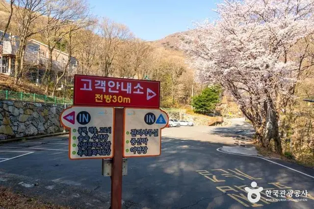 거제자연휴양림 사진