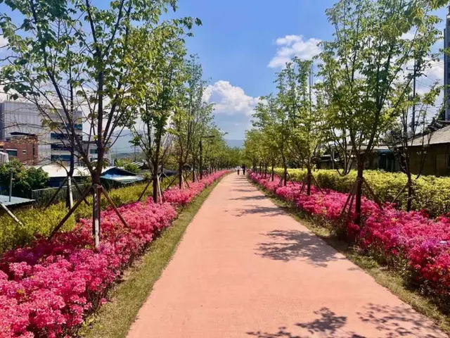 치악산 바람길숲 사진