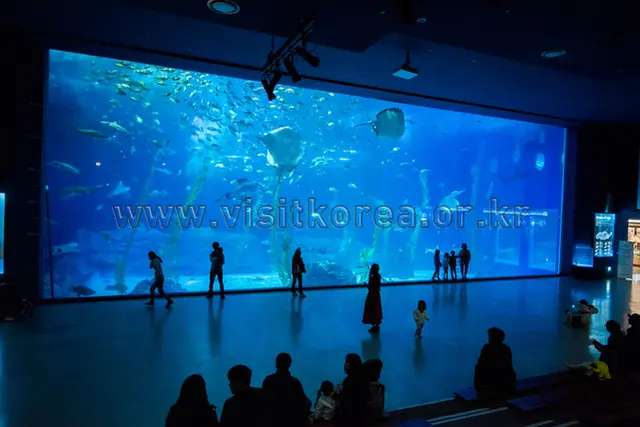 아쿠아플라넷 제주 사진