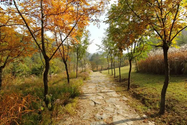국립한국자생식물원 사진