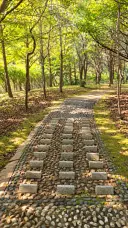 경상북도수목원 유아숲체험원 사진
