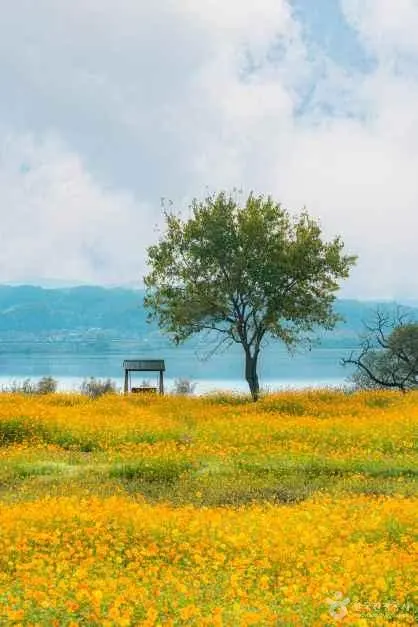 물의정원 사진