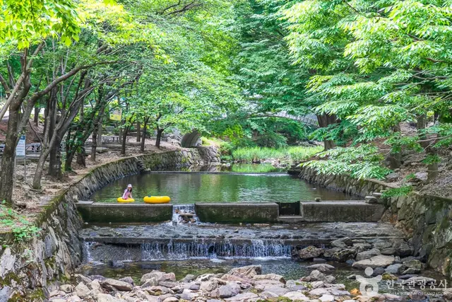 고산자연휴양림 사진