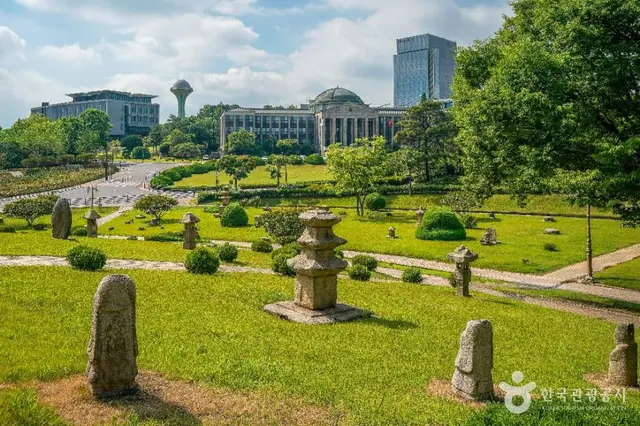 경북대학교박물관 사진