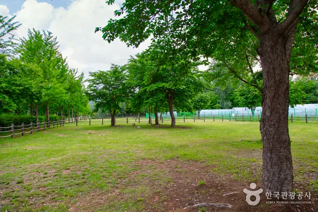 춘천 하중도수변생태공원 사진