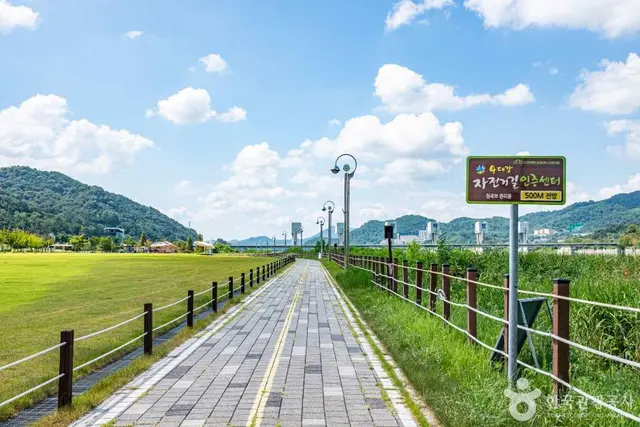 칠곡보 생태공원 사진