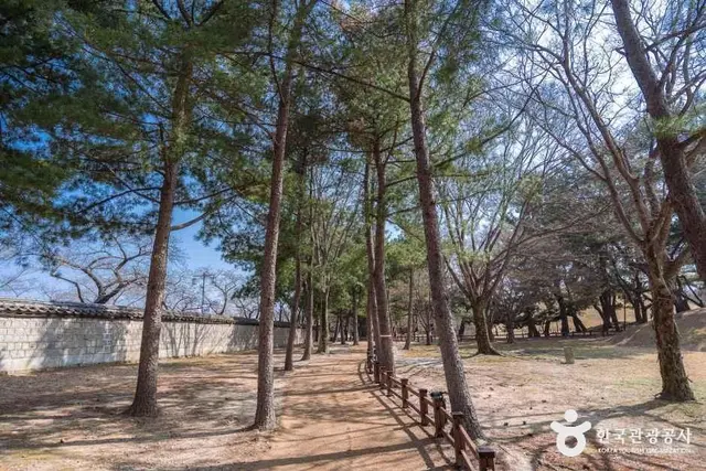 경주 대릉원 사진
