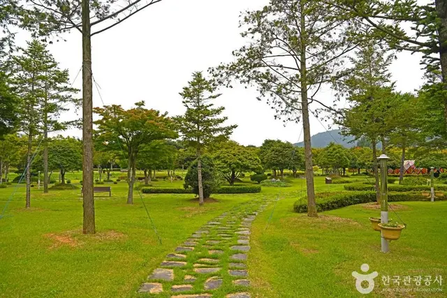 정읍 내장산 단풍생태공원 사진