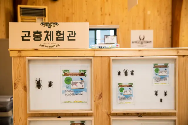 담양곤충박물관 사진