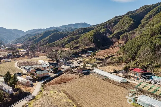 삼척 가시오가피마을 사진