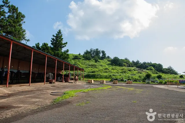 뷰 제주하늘 사진