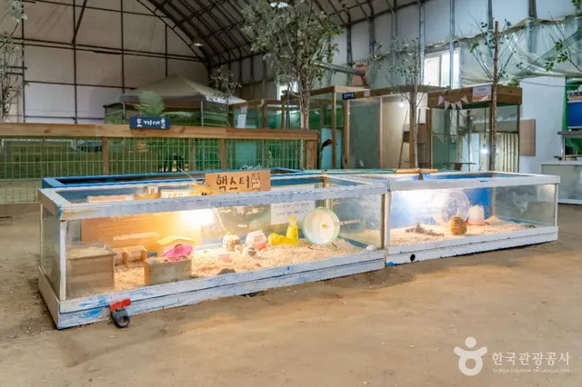 온동물체험농장 사진