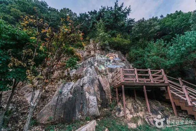 좌구산 자연휴양림 사진