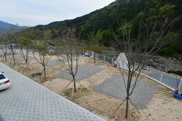 내를 건너서 숲으로 오토캠핑장 사진