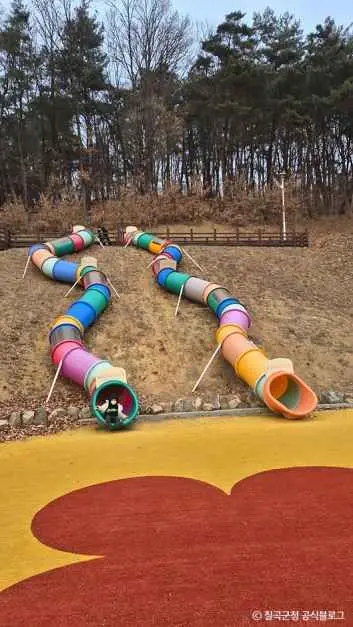 칠곡보사계절썰매장 사진
