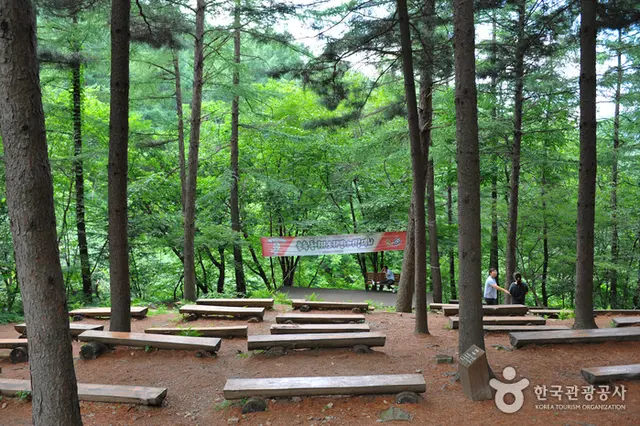 중미산자연휴양림 사진