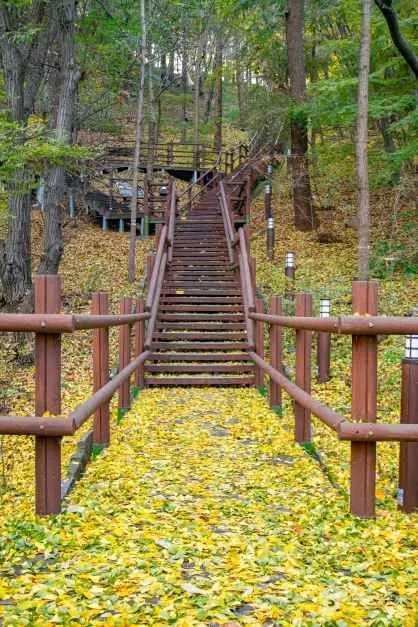 인천 월미공원 전통정원 사진
