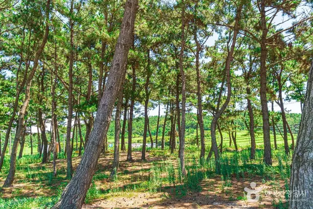 송계어촌체험휴양마을 사진