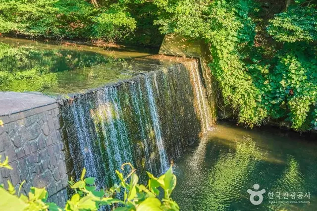 금화계곡 사진