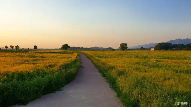강나루생태공원 사진
