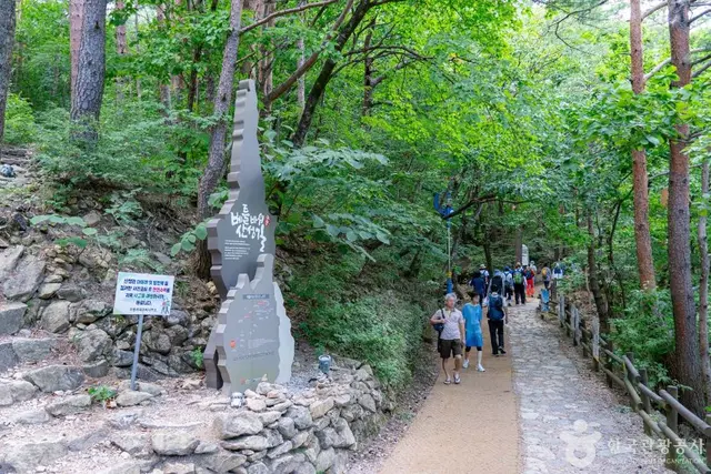 무릉계곡 사진