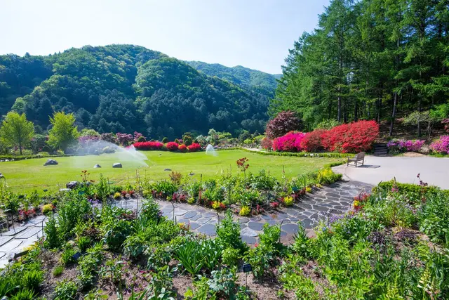 아침고요수목원 사진