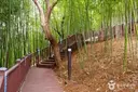 이사부사자공원&그림책 나라 사진