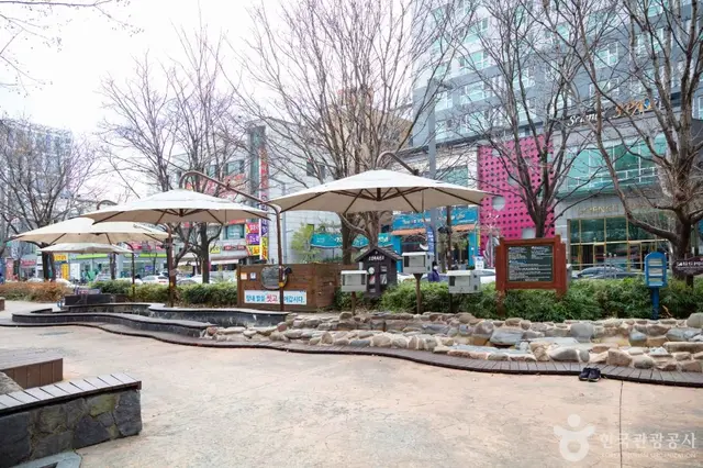 유성 족욕체험장 사진
