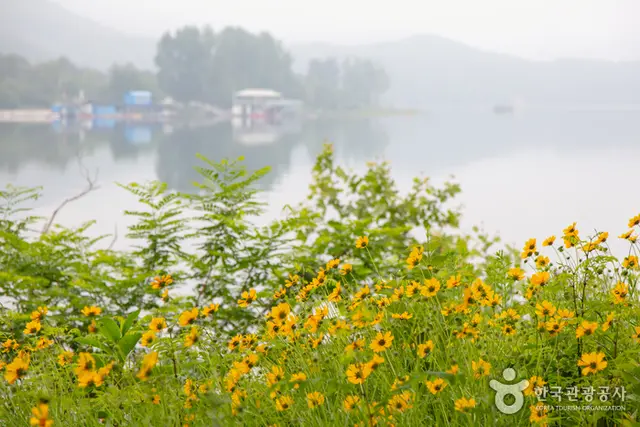 춘천 하중도수변생태공원 사진