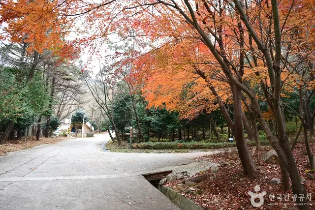 흑석산 자연휴양림 사진
