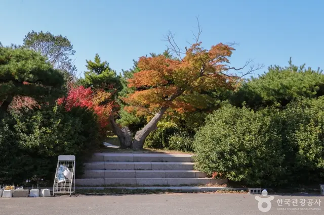 울산테마식물수목원 사진