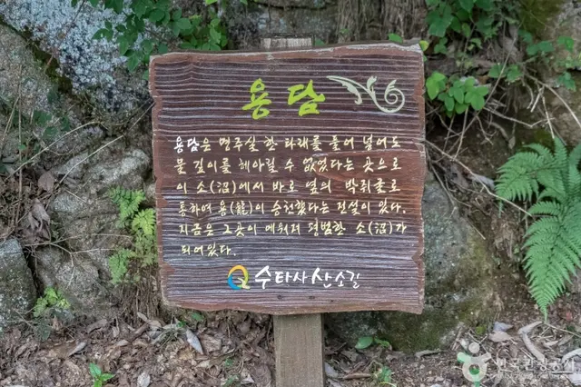 공작산생태숲 사진