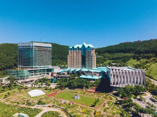 하이원리조트 사진