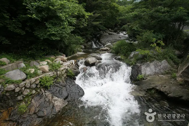 성흥사 계곡 사진