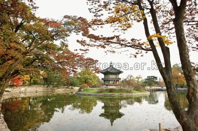 경복궁 향원정 사진